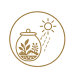 need of sunlight care icon of terrariums-Nature petals